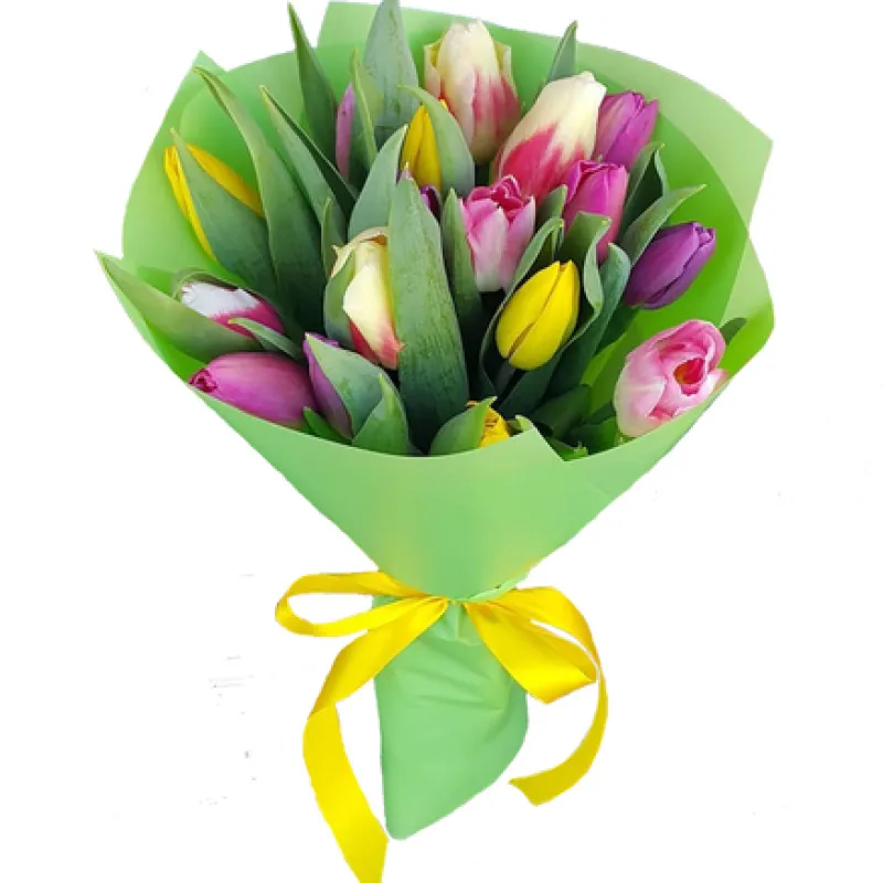 Букет из 17 разноцветных тюльпанов, доставка Чапаевск